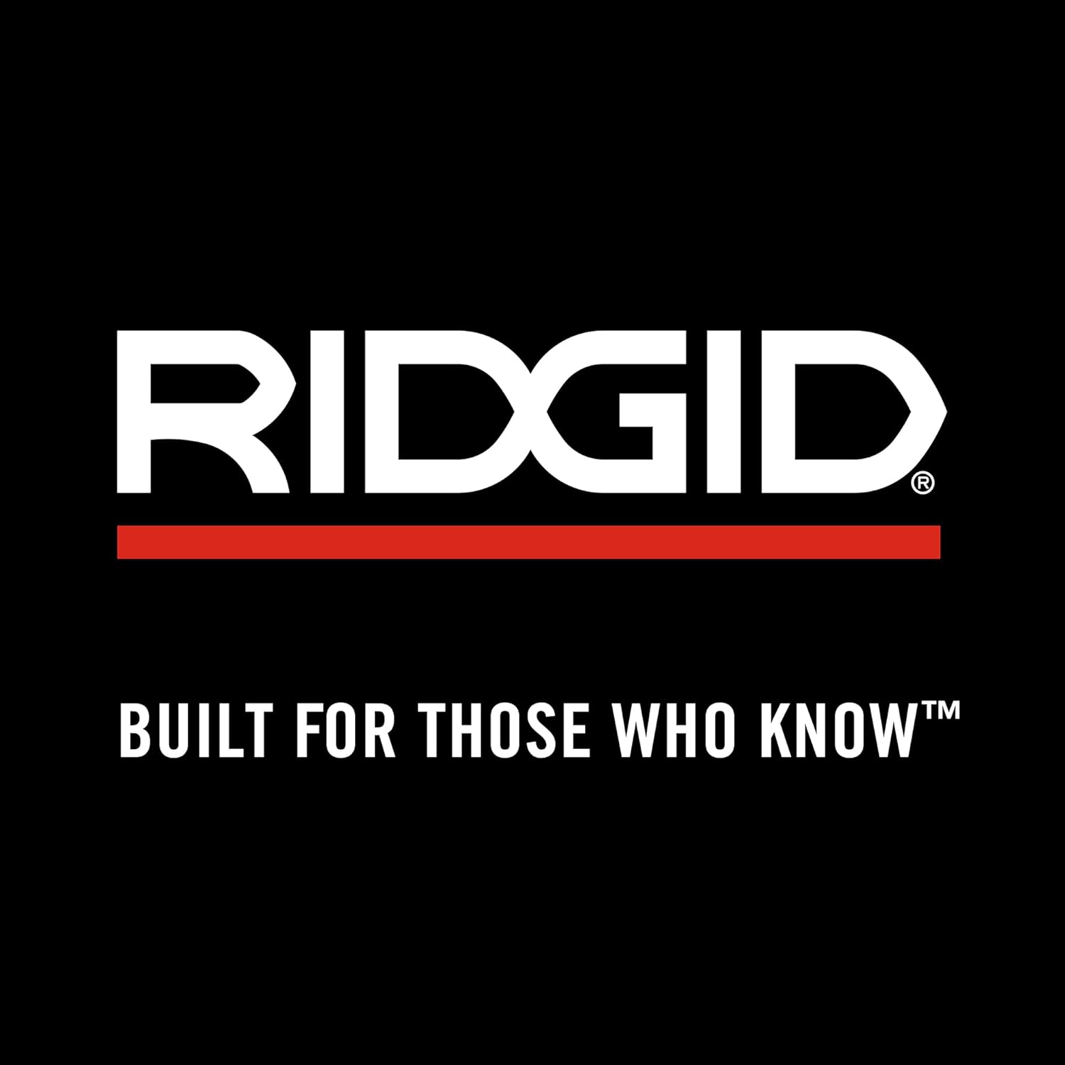 RIDGID 41935 Model 700 Hand-Held 120-Volt Power Drive Pipe Threader, Compatible with RIDGID 12-R, 00-R, 00-RB, and 11-R Die Heads, Silver